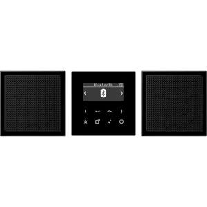 Kit Radio Intelligent Jung DAB+ Bluetooth - Stéréo avec 2 Haut-parleurs - Noir Kit Radio Intelligent Jung DAB+ Bluetooth - Stéréo avec 2 Haut-parleurs - Noir