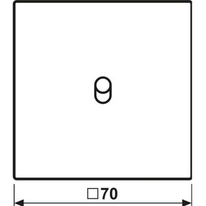 Jung ME 12-0 C R 25 - Abdeckung mit Kipphebel - Metall Jung ME 12-0 C R 25 - Abdeckung mit Kipphebel - Metall
