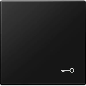 Jung LS990TSWM Wippe Mattschwarz - Wippe / Funk-Schalter Jung LS990TSWM Wippe Mattschwarz - Wippe / Funk-Schalter