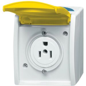 Busch-Jaeger 3015 EWN-53 Gelbe NEMA-Steckdose - Lichtschalter Busch-Jaeger 3015 EWN-53 Gelbe NEMA-Steckdose - Lichtschalter