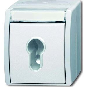 Busch-Jaeger Schlüsselschalter 2733 SLW-54 - Schalter Busch-Jaeger Schlüsselschalter 2733 SLW-54 - Schalter