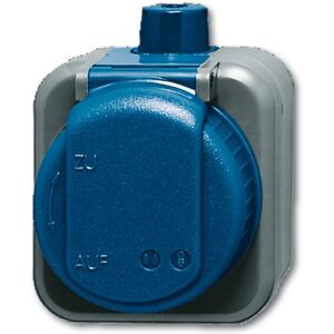 Busch-Jaeger Model 2300 EWDI Impactbestendige IP66 Stopcontact - Buiten Busch-Jaeger Model 2300 EWDI Impactbestendige IP66 Stopcontact - Buiten