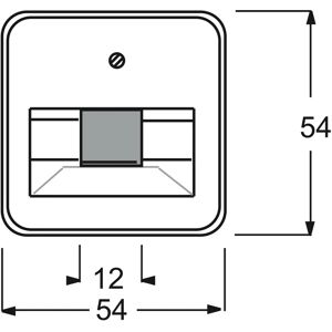 Busch-Jaeger Centrale Platte - IP20 - Wit - UAE/IAE - Wandplaat Busch-Jaeger Centrale Platte - IP20 - Wit - UAE/IAE - Wandplaat