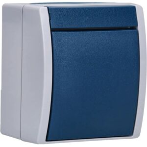 Busch-Jaeger Wipptaster grau/blau-grün 1S - Schalter - IP44 Busch-Jaeger Wipptaster grau/blau-grün 1S - Schalter - IP44