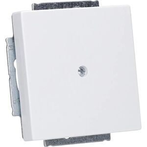 Busch-Jaeger 1742-84 Placa Central - Blanco Brillante, IP20, Empotrado Busch-Jaeger 1742-84 Placa Central - Blanco Brillante, IP20, Empotrado