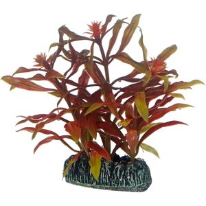 Hobby Nesaea Red 7cm - Decorative Plant Hobby Nesaea Red 7cm - Decorative Plant