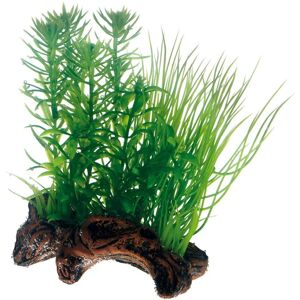 Hobby Dekor Flora Root 2 Vert - Décoration d'aquarium Hobby Dekor Flora Root 2 Vert - Décoration d'aquarium