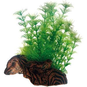 Dohse Flora Root 3 S - Décoration d'aquarium - Publicité Dohse Flora Root 3 S - Décoration d'aquarium - Publicité