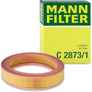 MANN-FILTER C 2873/1 Luftfilter - Luftfilter MANN-FILTER C 2873/1 Luftfilter - Luftfilter