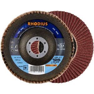 Disco Flap Rhodius LSA F1 - Acciaio, Grana 40, 125x22.23mm Disco Flap Rhodius LSA F1 - Acciaio, Grana 40, 125x22.23mm