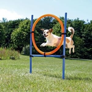 Équipement d'Agilité Trixie pour Chiens/Chats - Ensemble en Plastique Réglable avec Anneau - Publicité Équipement d'Agilité Trixie pour Chiens/Chats - Ensemble en Plastique Réglable avec Anneau - Publicité