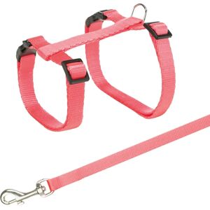 Laisse pour Chien/Chat Trixie - Ensemble en nylon ajustable avec clips rapides - Publicité Laisse pour Chien/Chat Trixie - Ensemble en nylon ajustable avec clips rapides - Publicité