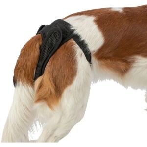 Trixie Black Mesh Dog Pants Medium - Dog Pants Trixie Black Mesh Dog Pants Medium - Dog Pants