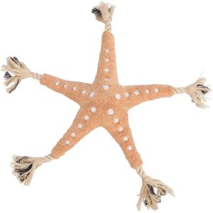 Jouet pour chiens Trixie - Étoile de mer nordique 32cm - Publicité Jouet pour chiens Trixie - Étoile de mer nordique 32cm - Publicité