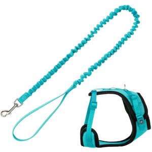 Trixie Turquoise Mesh Y-Harness with Elastic Leash - Harness Trixie Turquoise Mesh Y-Harness with Elastic Leash - Harness