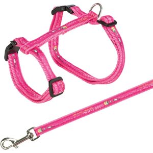 Laisse Trixie 41893 pour chien/chat - Réglable, légère, adaptée à l'extérieur - Publicité Laisse Trixie 41893 pour chien/chat - Réglable, légère, adaptée à l'extérieur - Publicité