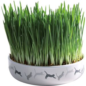 Trixie Ceramic Bowl with Cat Grass - 50g Seeds Trixie Ceramic Bowl with Cat Grass - 50g Seeds