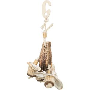 Trixie Jouet Naturel en Coquillages - 26cm - Décor pour habitat d'animaux - Publicité Trixie Jouet Naturel en Coquillages - 26cm - Décor pour habitat d'animaux - Publicité