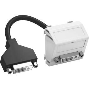 OBO - MTS-DVI F RW1 - DVI-I - Blanc - Porte-média - Publicité OBO - MTS-DVI F RW1 - DVI-I - Blanc - Porte-média - Publicité