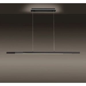 Paul Neuhaus Q-Arian LED Pendant Light - Adjustable, ZigBee, RGB, Dimmable Paul Neuhaus Q-Arian LED Pendant Light - Adjustable, ZigBee, RGB, Dimmable