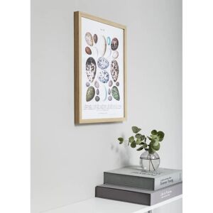 Nielsen Tammi 15x20cm minimalistinen kehyss - Valokuvaruutu Nielsen Tammi 15x20cm minimalistinen kehyss - Valokuvaruutu