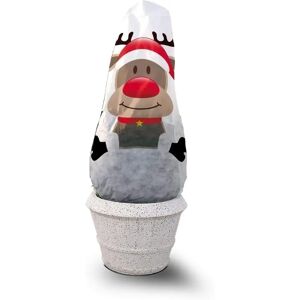 NOOR Protection Hivernale pour Plantes - Voile de Fils - Publicité NOOR Protection Hivernale pour Plantes - Voile de Fils - Publicité