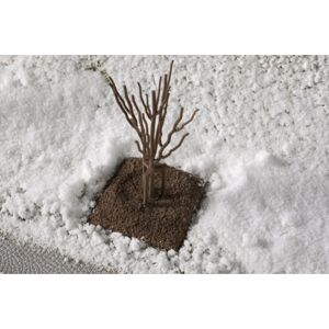 Auhagen 70951 Forest Tree Pack - Model Part Auhagen 70951 Forest Tree Pack - Model Part