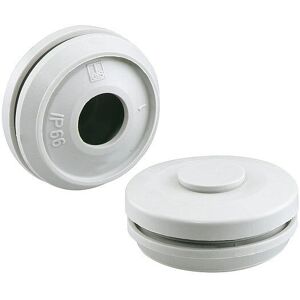 Spelsberg DMS M25 Enchufe de doble membrana Gris Claro - Componente eléctrico Spelsberg DMS M25 Enchufe de doble membrana Gris Claro - Componente eléctrico