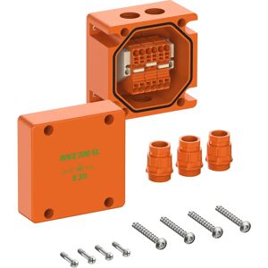 Spelsberg WKE 203 SL Kopplingsdosa - IP66, 4mm², Orange Spelsberg WKE 203 SL Kopplingsdosa - IP66, 4mm², Orange