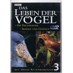 Kompact Video - La vida de las aves - Parte 3 - DVD Kompact Video - La vida de las aves - Parte 3 - DVD