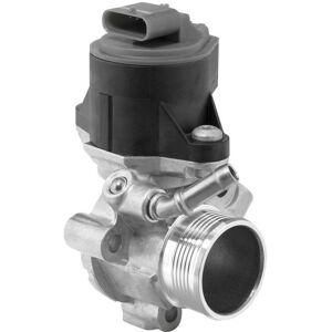Borgwarner A6541400460 Matala Paine EGR-venttiili - EGR-venttiili Borgwarner A6541400460 Matala Paine EGR-venttiili - EGR-venttiili