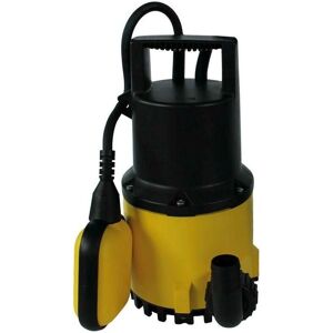Pompe immergée Zehnder ZPK 30 A avec interrupteur à flotteur - Publicité Pompe immergée Zehnder ZPK 30 A avec interrupteur à flotteur - Publicité