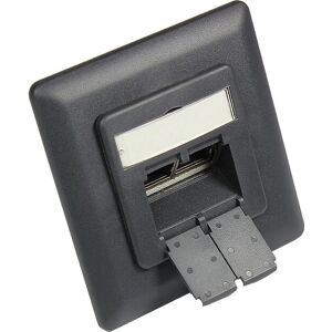 Alcasa GC-N0052AG Enchufe Ethernet - Blindado, 2x RJ45, Vertical, Gris antracita Alcasa GC-N0052AG Enchufe Ethernet - Blindado, 2x RJ45, Vertical, Gris antracita