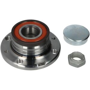 FAG 713 6907 10 Wheel Bearing Kit - Suitable for Fiat 500 3-door, Grande Punto 3/5-door FAG 713 6907 10 Wheel Bearing Kit - Suitable for Fiat 500 3-door, Grande Punto 3/5-door
