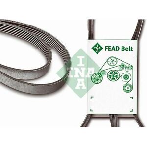 INA Multirem VW Renault Peugeot 6PK1200 Courroie de distribution - Courroie de distribution - Publicité INA Multirem VW Renault Peugeot 6PK1200 Courroie de distribution - Courroie de distribution - Publicité