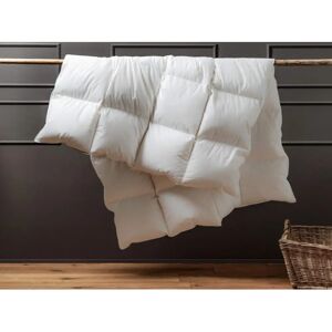 Die Zudecke Hungarian Goose Feather & Down 10.5 Tog King Duvet - Duvet Die Zudecke Hungarian Goose Feather & Down 10.5 Tog King Duvet - Duvet