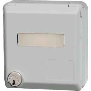 MENNEKES 4342 Boîte de sortie de données - 2 RJ45, gris, IP44 MENNEKES 4342 Boîte de sortie de données - 2 RJ45, gris, IP44