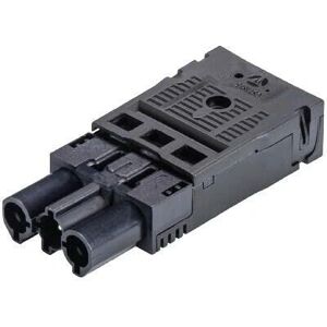 Wieland Electric Hannenøgle - Automatisk montering, 2 kontakter, sort Wieland Electric Hannenøgle - Automatisk montering, 2 kontakter, sort