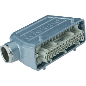 Wieland Marke Revos Basic 500V 24-poliger Stecker - IP54, M25, -40°C bis +120°C Wieland Marke Revos Basic 500V 24-poliger Stecker - IP54, M25, -40°C bis +120°C