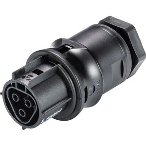 WIELAND RST20I3 GB2 M20 - Conector circular - Parte femenina WIELAND RST20I3 GB2 M20 - Conector circular - Parte femenina