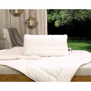 BILLERBECK Cosineck nature Latex Kissen 40x80cm - Nackenstützkissen BILLERBECK Cosineck nature Latex Kissen 40x80cm - Nackenstützkissen