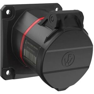 Walther Werke FW510506SK Schwerlast Steckdose - Elektrischer Anschluss Walther Werke FW510506SK Schwerlast Steckdose - Elektrischer Anschluss