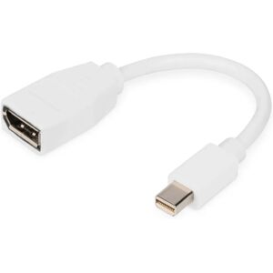 Digitus Weiß Mini DisplayPort auf DisplayPort Kabel 0,15m Digitus Weiß Mini DisplayPort auf DisplayPort Kabel 0,15m