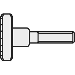 Toolcraft M4 8 Zink Ronde Kop-Schroeven - DIN 464 - Doos van 10 Toolcraft M4 8 Zink Ronde Kop-Schroeven - DIN 464 - Doos van 10