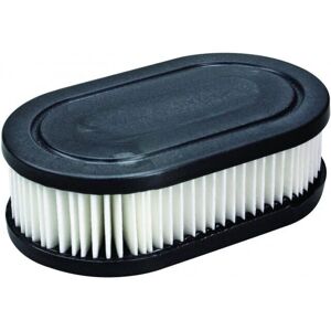 Filtre à air Briggs & Stratton 992374 - Pour séries 550e & 575ex - Publicité Filtre à air Briggs & Stratton 992374 - Pour séries 550e & 575ex - Publicité