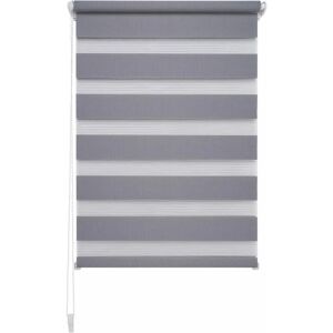 LIEDECO Doppelrollo Grau 160x45cm - Sichtschutz Fenster LIEDECO Doppelrollo Grau 160x45cm - Sichtschutz Fenster