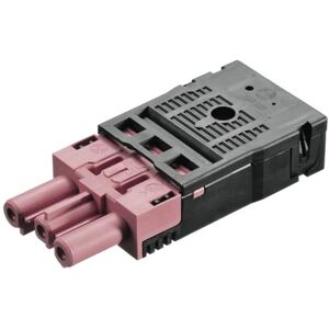 Bachmann Modell 940.071 Grauer Netzstecker - Netzstecker Bachmann Modell 940.071 Grauer Netzstecker - Netzstecker