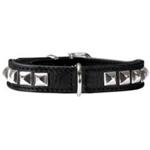 Hunter Rocky Petit Small Dog Collar - Dog Collars Hunter Rocky Petit Small Dog Collar - Dog Collars