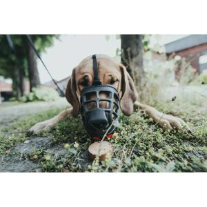 Gloria Albury Black Size 5 Muzzle - Dogs Gloria Albury Black Size 5 Muzzle - Dogs