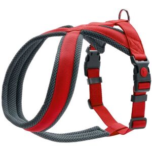 Hunter London Comfort S-M Black, Red Polyester Dog Halter harness - Dog Harness Hunter London Comfort S-M Black, Red Polyester Dog Halter harness - Dog Harness